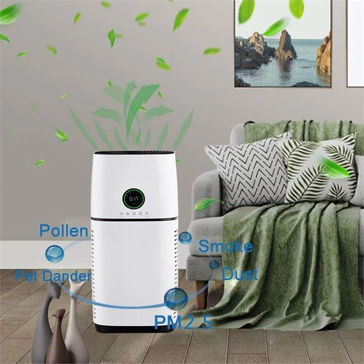 BKJ-500 Full Function Low Energy Home Air Purifier