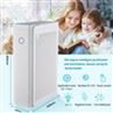BKJ-60C เครื่องฟอกอากาศในบ้านขนาดใหญ่ UV Anion เป็นตัวเลือก