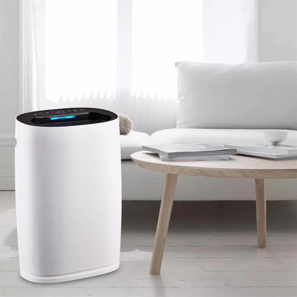 BKJ-306 PM2.5 Standing Air Purifier Remove Indoor Air Pollution suppliers